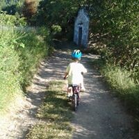 Camping La Gorga Boltaña Ordesa Pirineos Camping La Gorga Boltaña Sobrarbe Pirineo Pirineos